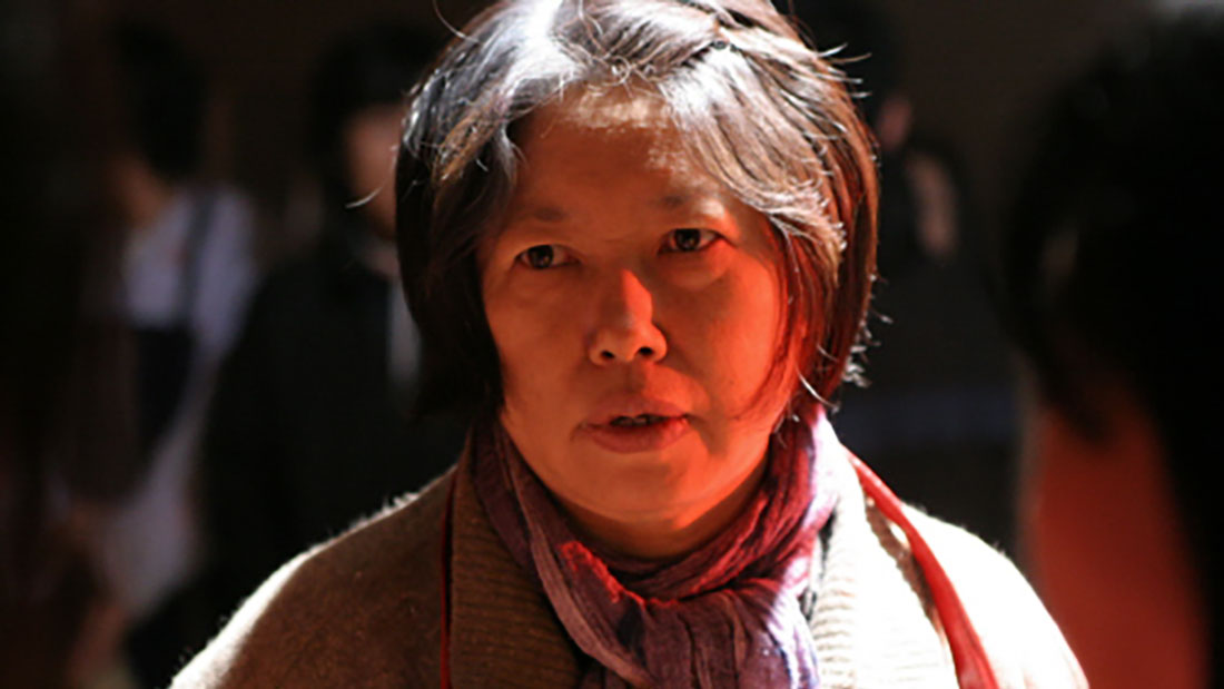 암사자(들) 포스터